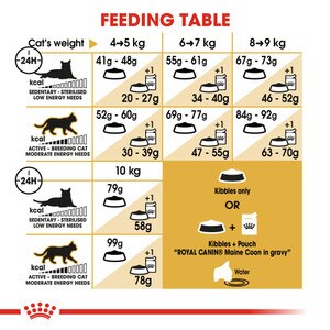 ROYAL CANIN® Maine Coon 10kg